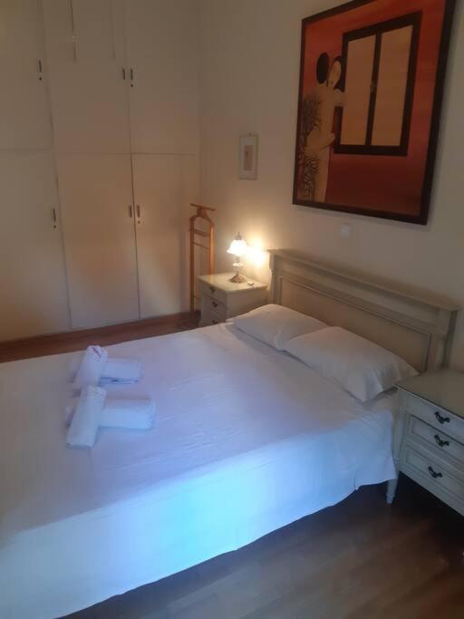 Classical Apartment At Lycabetus Hill Athens Ngoại thất bức ảnh